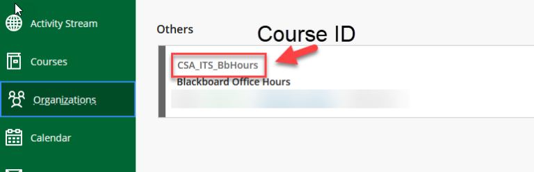 BbOrgs – Canvas Login